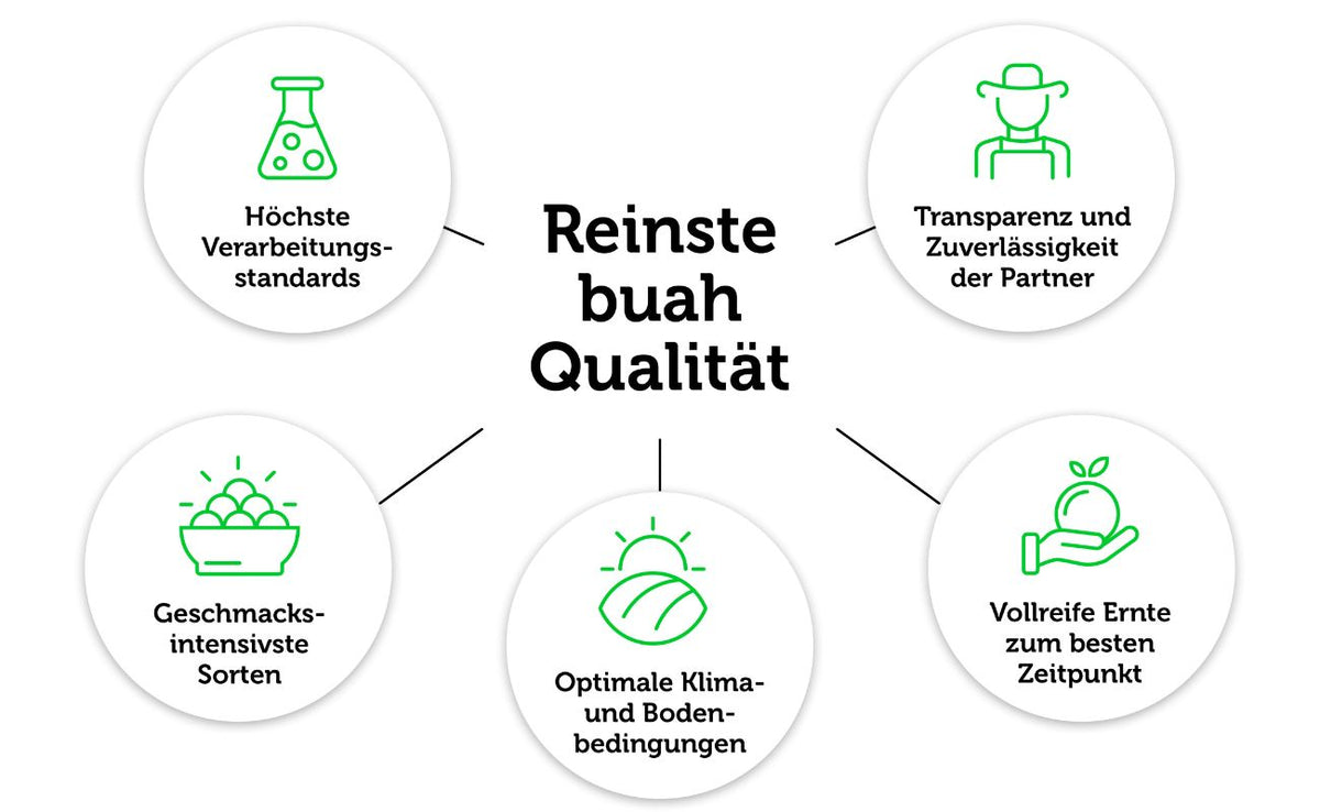 Grafik auf weissem Hintergrund mit 'Reinste buah Qualität' als Mittelpunkt und 5 Bullet Points sternförmig darum angeordnet, mit Icons