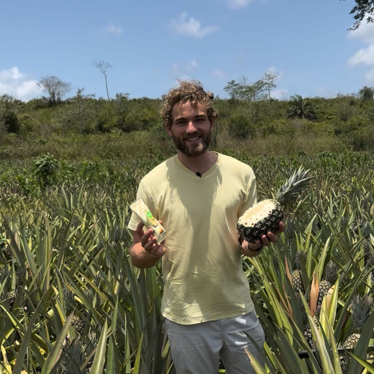 buah Gruender Daniel zu Besuch auf einer buah Ananasfarm, mit einer frischen Ananas in der einen und buah Ananas Bällchen in der anderen Hand