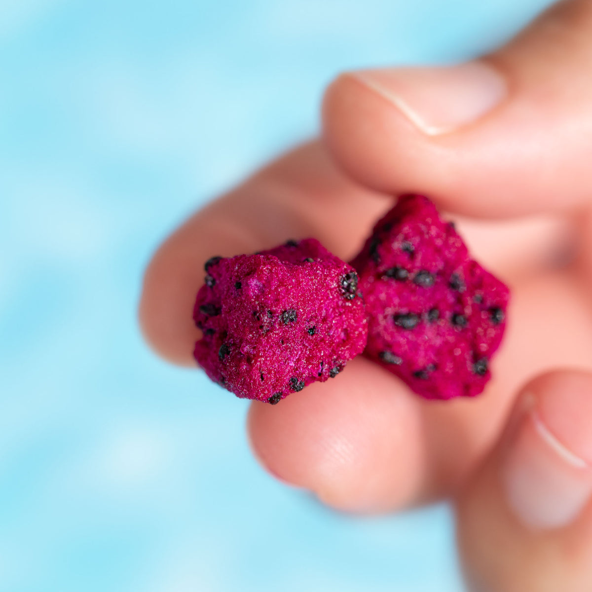 Nahaufnahme eines Wuerfel pinker buah gefriergetrockneter Drachenfrucht in der Hand einer Person, im Hintergrund blaues Poolwasser